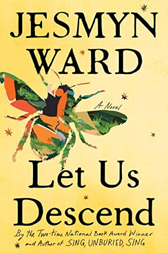 Let Us Descend book cover
