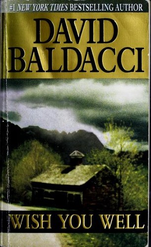 Wish You Well book cover